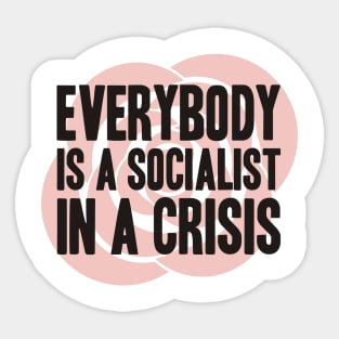 Everybody is a Socialist in a Crisis Sticker